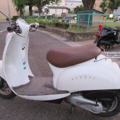 クレアスクーピー　人気の白　エンジンオイル新品　ホンダ　4スト　ホワイト　AF55の画像