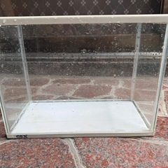 水槽⑩の画像