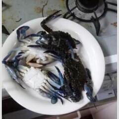 夜の海なのですが