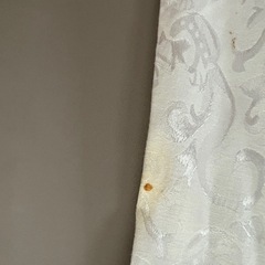 チャイナドレスの画像