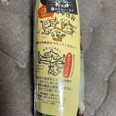 猫のダヤン  三つ折り傘　森のささやきの画像