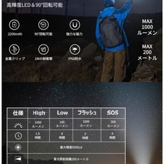 Philips  フラッシュライトの画像