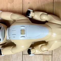20%値下げ！！aibo 2024年限定カラー最新 【きなこエディション】＆25周年記念ファイルの画像