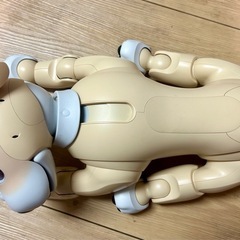 20%値下げ！！aibo 2024年限定カラー最新 【きなこエディション】＆25周年記念ファイルの画像