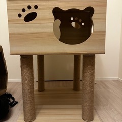 キャットタワーの画像