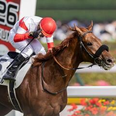 競馬🏇趣味友募集🏇 - 笛吹市