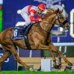 競馬🏇趣味友募集🏇 - 友達
