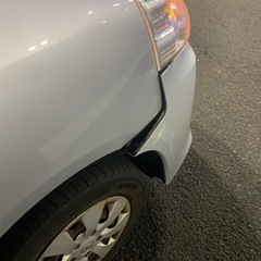ノアの画像