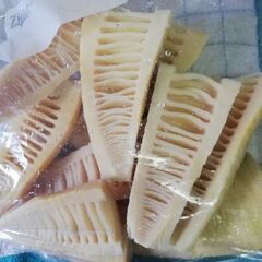 タケノコ　再募集ですお気軽にオファー下さい  有料です１０００円いりますの画像