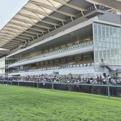 競馬仲間集めてLINEグルチャしたいな😅