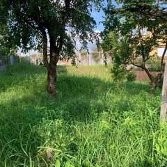 除草作業員募集の画像