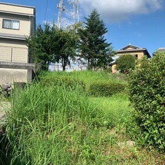 除草作業員募集の画像