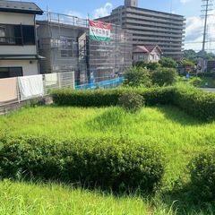 除草作業員募集の画像