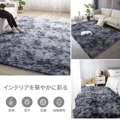 200×250カーペットの画像