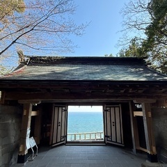 何でも話せるお友だちが欲しいです。