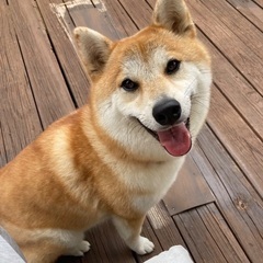 新しい家族を探しています！
