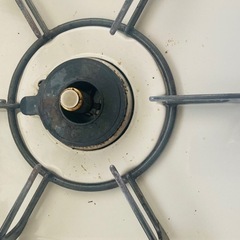 譲渡し先決まってますの画像