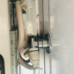 譲渡し先決まってますの画像