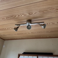 イケヤライトの画像