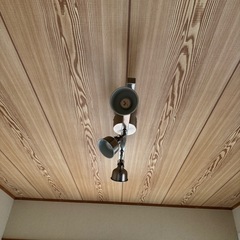 イケヤライトの画像