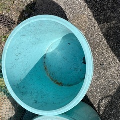 桶　　　オケ　　　おけ差し上げます
の画像