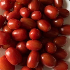 7時50分収穫‼︎採れたて新鮮‼︎ヘタなしミニトマト45個の画像