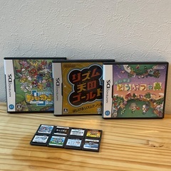 FJさんに決まりました。DSソフト