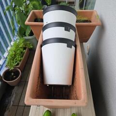 楽なりいちご　未開封培養土　鉢植え　棚の画像
