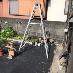 高さ　2ｍの脚立