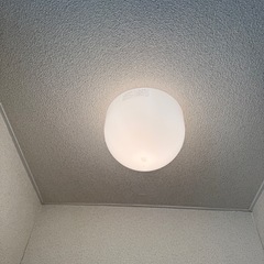 ①　照明　天井照明　電球の画像