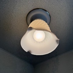 ②　照明　天井照明　電球の画像