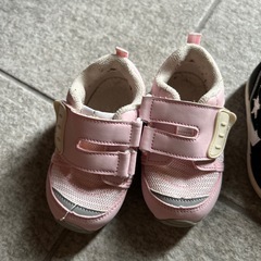 13.5 センチの画像