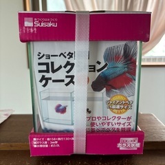 コレクションケースLの画像