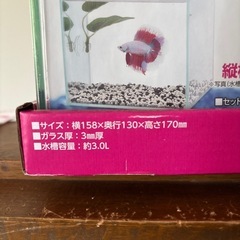 コレクションケースLの画像