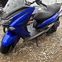 マジェスティ155の画像