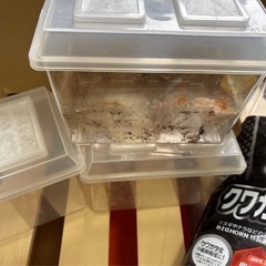 飼育ケース色々&クワガタ専用マット2袋の画像