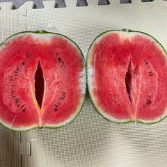 ピノガールスイカの画像
