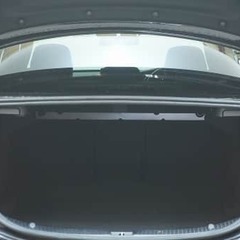 一度は乗ってみたいですよね！の画像