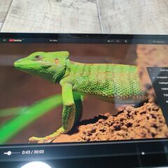 Surface Pro 7 / Windows11Pro / Core i5-1035G4 / 8GB / SSD 128GB NVMe / 顔認証 / Wi-Fi 6 / 解像度 2736x1824 の画像