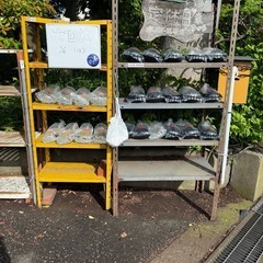 めだか無人販売

