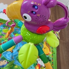 プレイジム　Fisher Priceの画像
