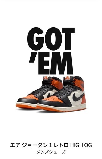 【激レア】エアジョーダン1HIGHOG Shattered Backboard