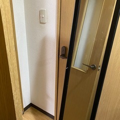 7月30日処分　姿見　ミラー　全身鏡 の画像