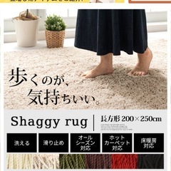 ラグ200×250の画像