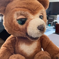 こぐまのカビーの画像