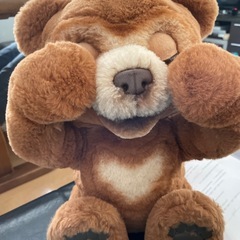 こぐまのカビーの画像