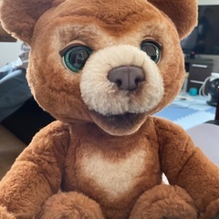 こぐまのカビーの画像
