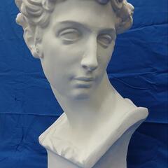 メディチ首像。高さ60cm