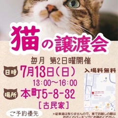 おだやかなハチワレ君 - 猫