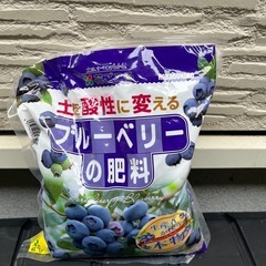 13今期終了★ブルーベリー🫐庭で採れました！無農薬、約220グラムの画像